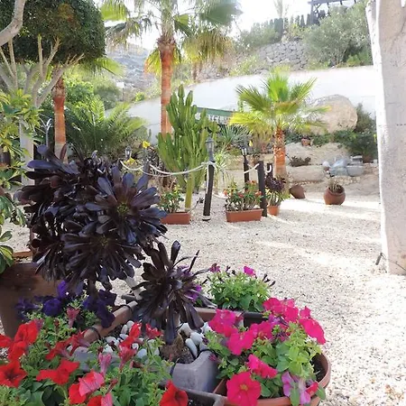 Calas 2*